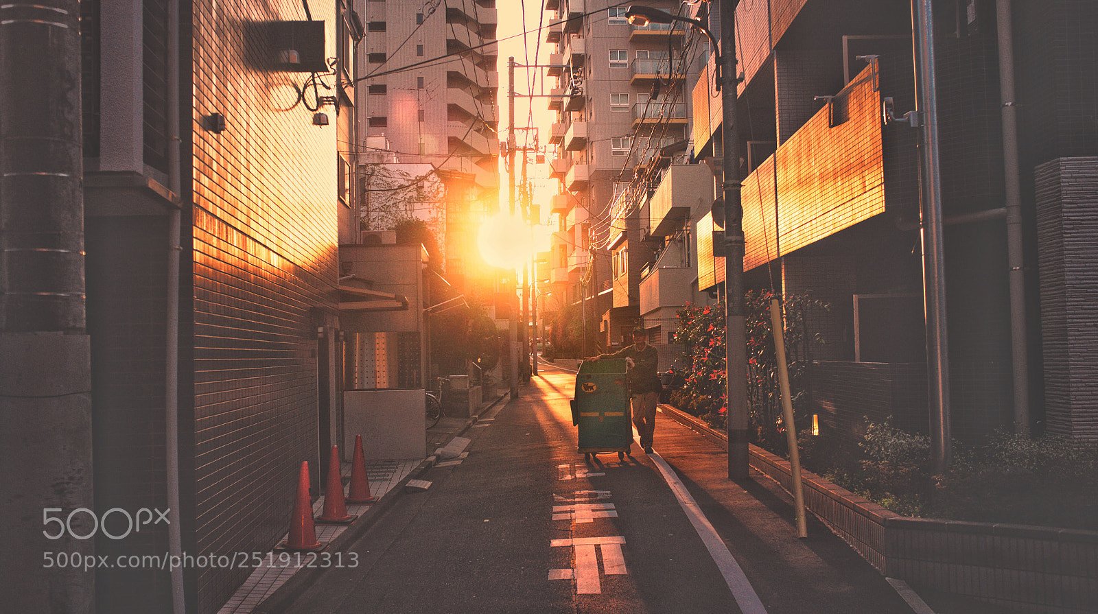 Fujifilm FinePix X100 sample photo. Yamato guy photography