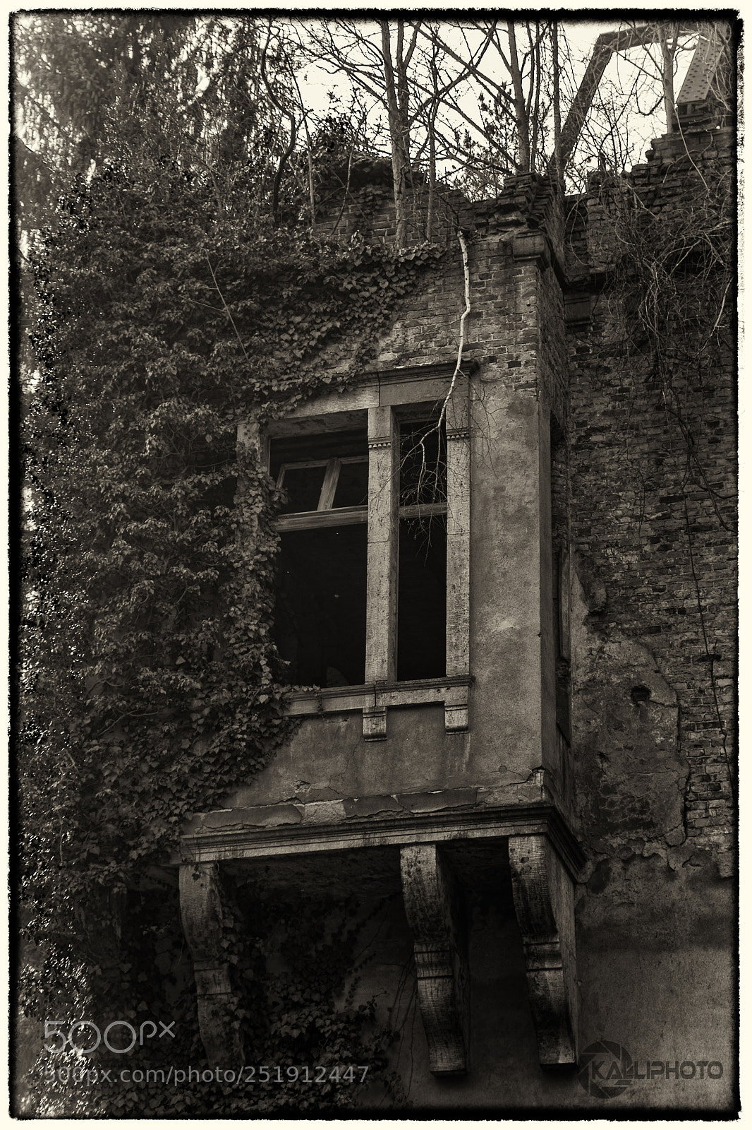 Canon EOS 5D Mark IV sample photo. Unused window photography