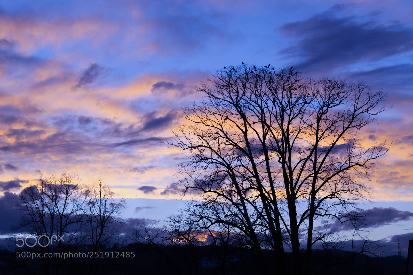 Canon EOS 1300D (EOS Rebel T6 / EOS Kiss X80) sample photo. Blue sunset photography