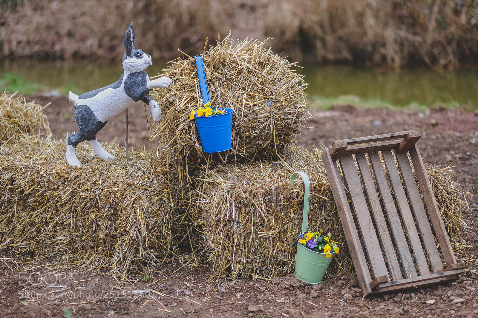 Fujifilm X-T20 sample photo. Oster-diorama photography