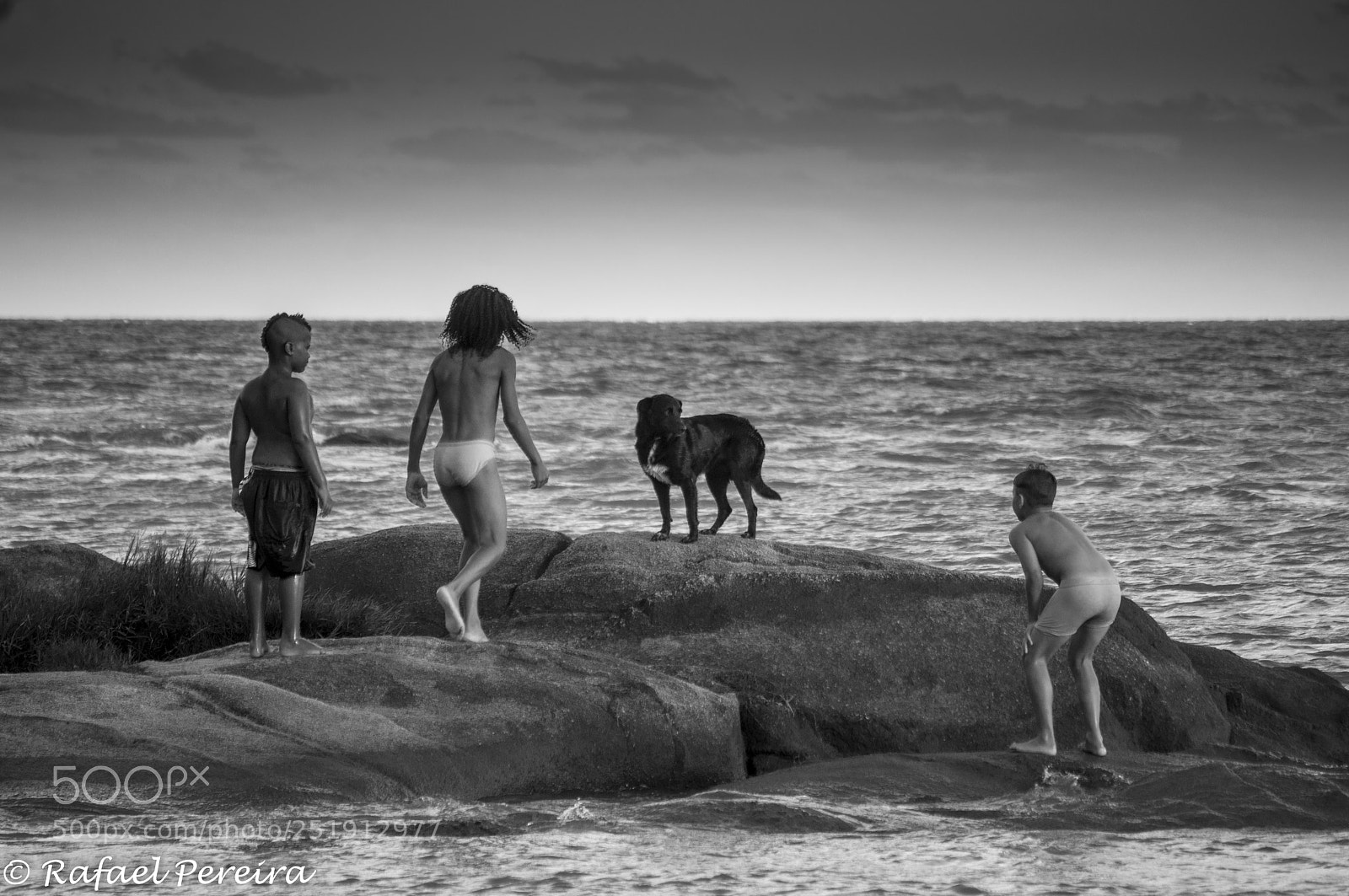 Nikon D5000 sample photo. 1-14.jpg photography