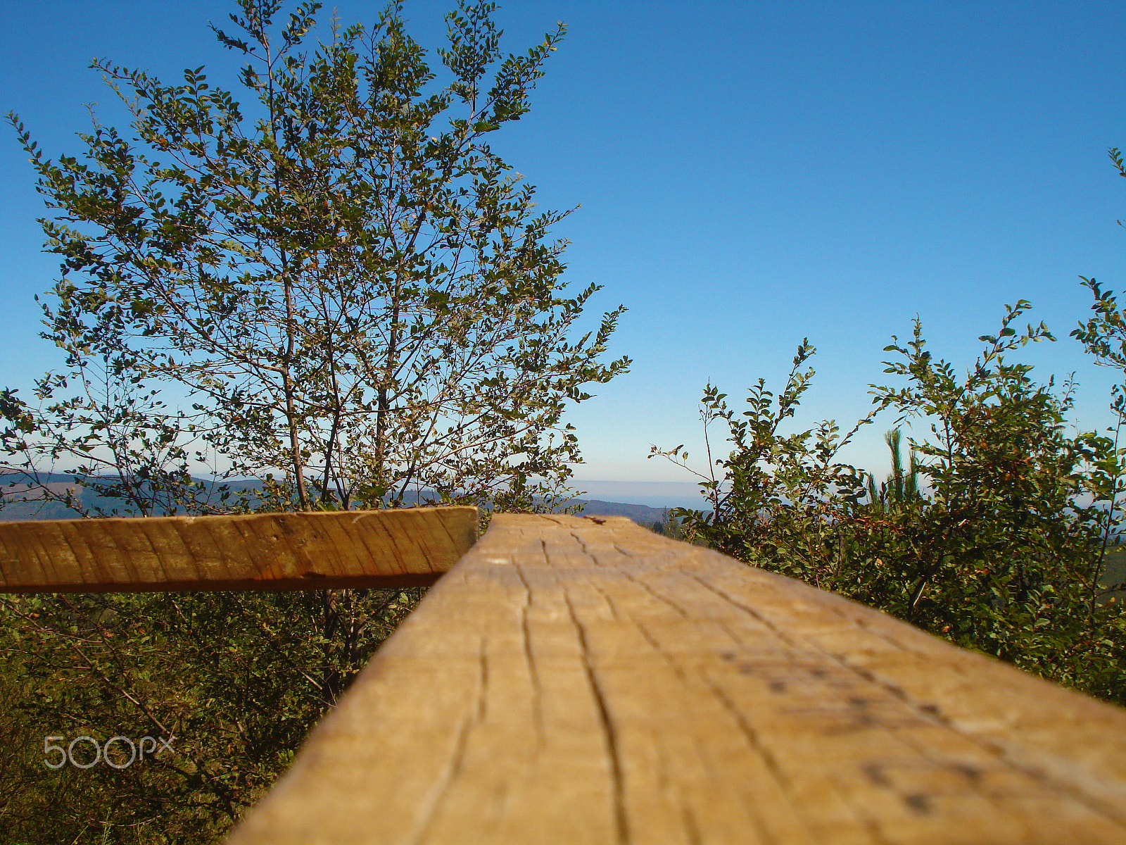 Sony DSC-W55 sample photo. Railing. photography