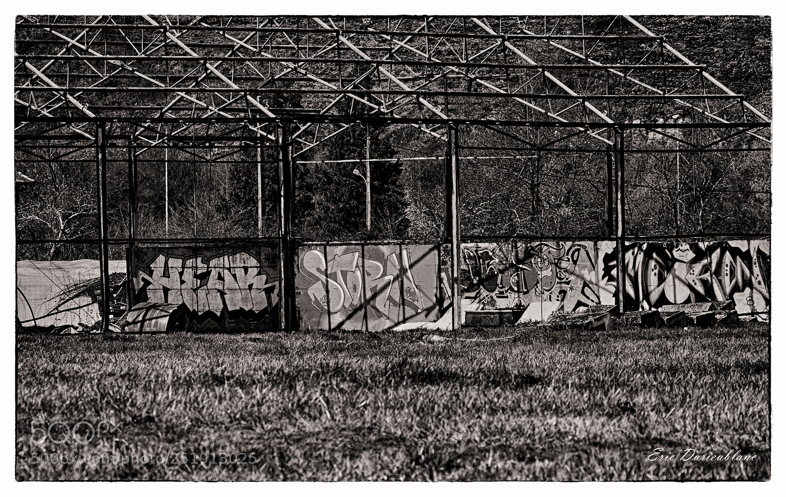 Canon EOS-1D Mark II sample photo. Untitled photography