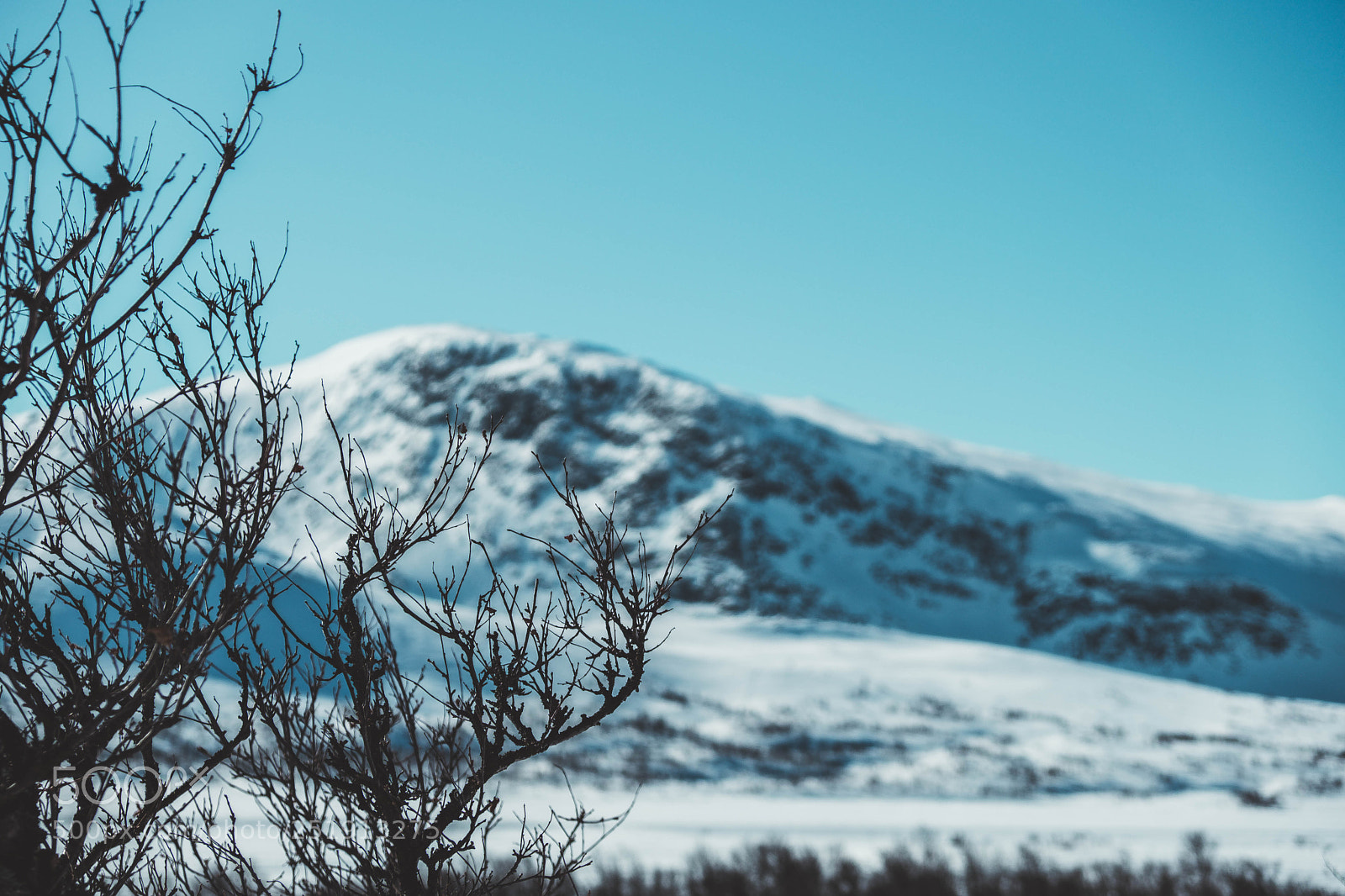 Fujifilm X-T20 sample photo. Giant mountain photography