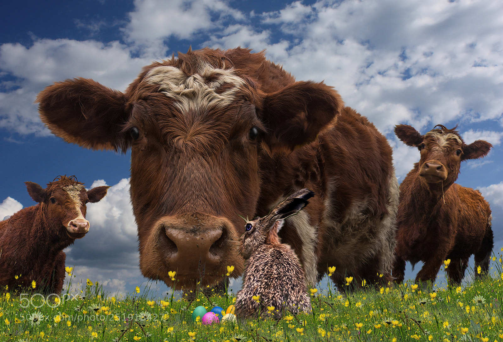 Canon EOS 80D sample photo. Happy easter photography