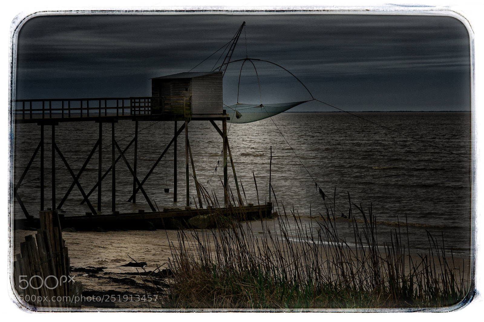 Nikon D500 sample photo. P che au carrelet photography