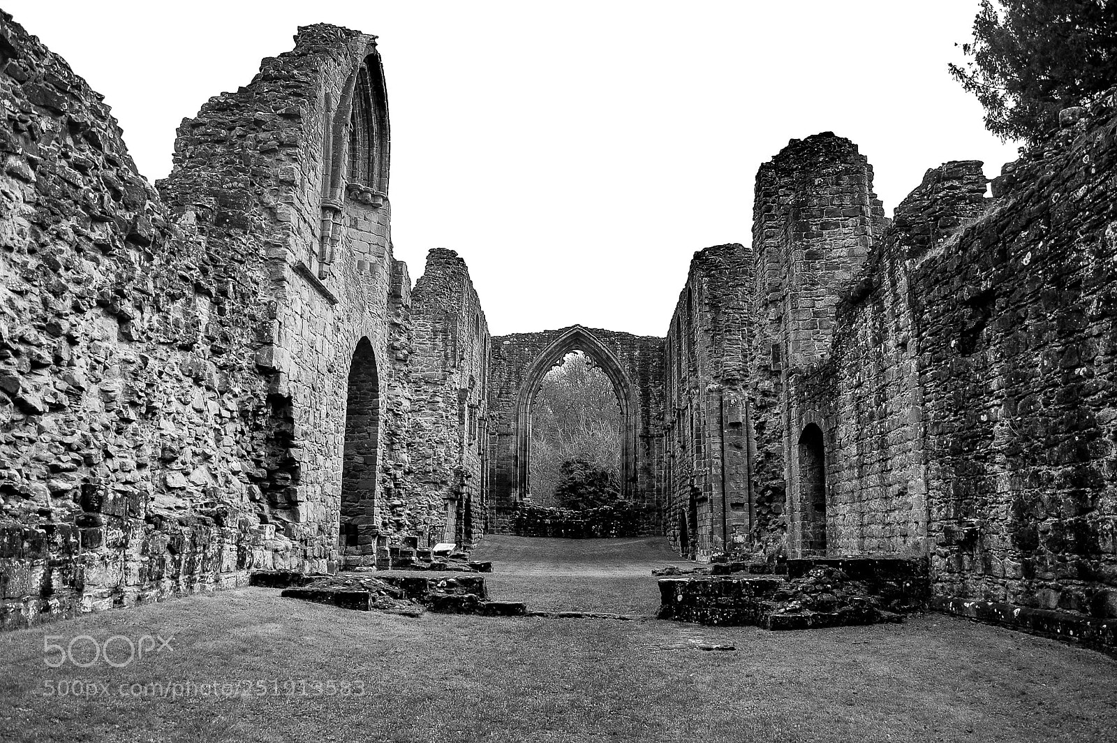 Nikon D40 sample photo. Lilleshall abbey ruin photography