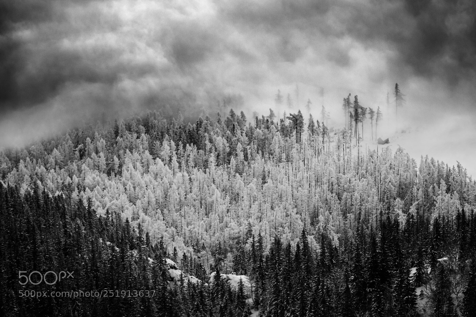 Canon EOS 5D Mark II sample photo. Above clouds photography