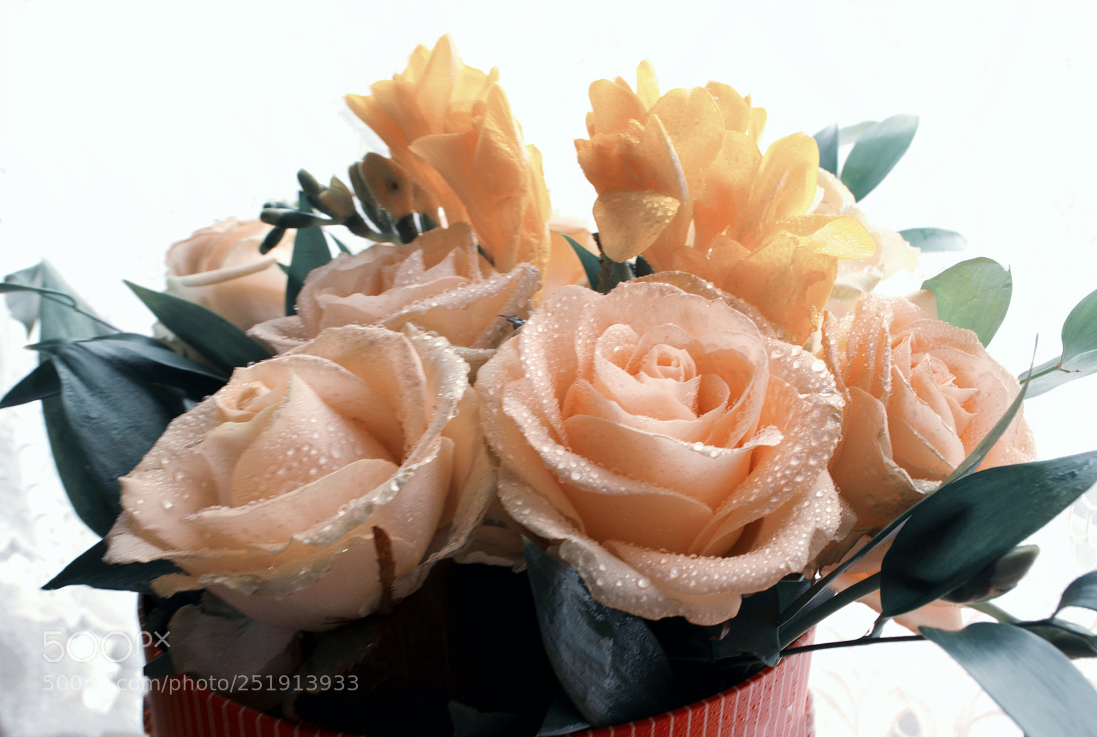 Nikon D5100 sample photo. Roses photography