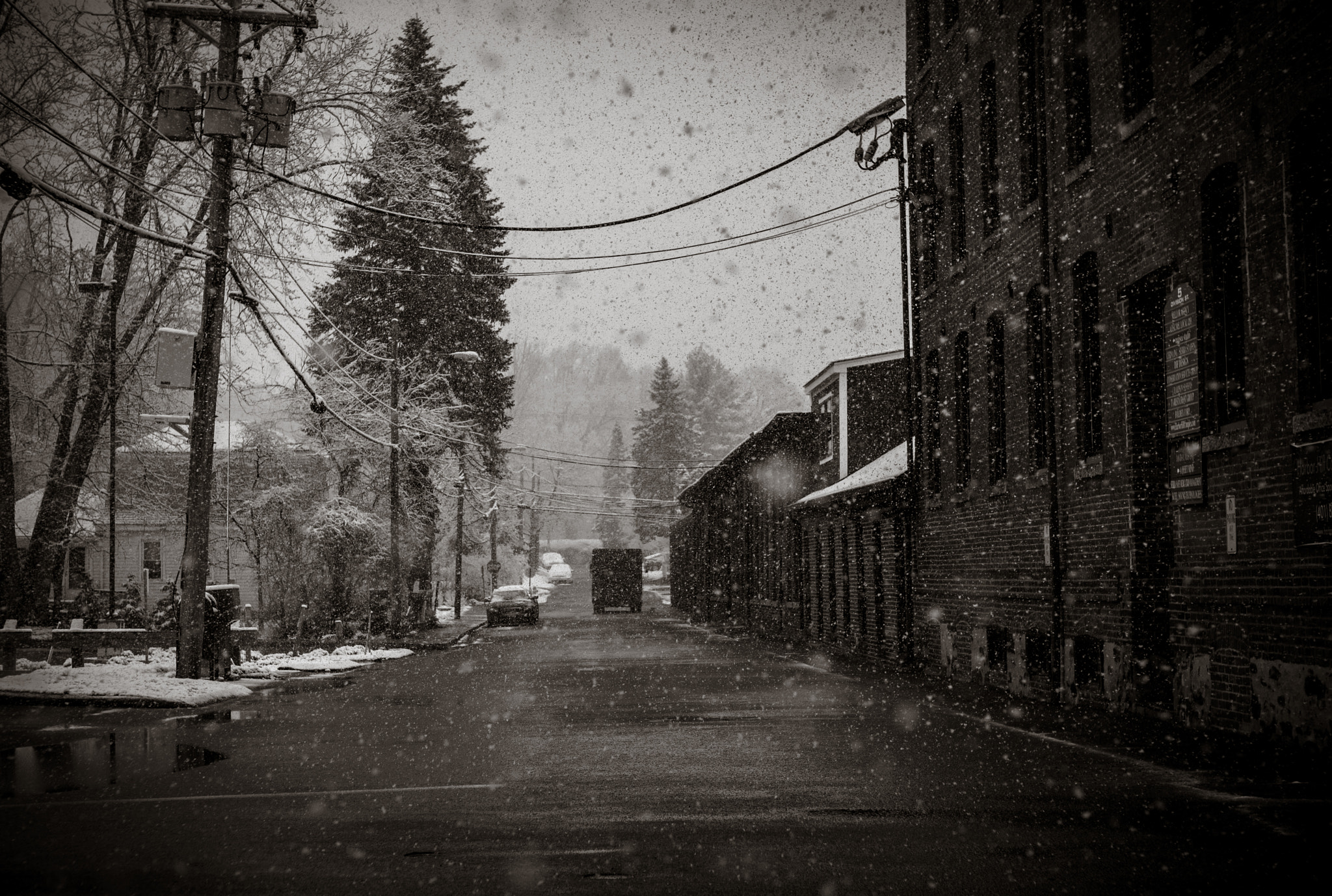 Leica M8 sample photo. Big brown photography