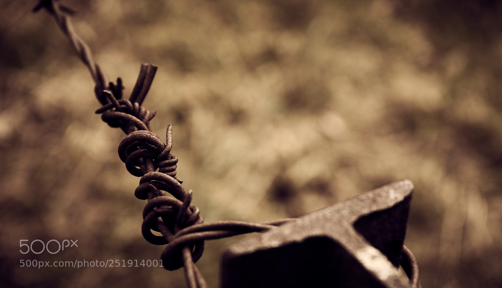 Sony a7 sample photo. Barbwire photography
