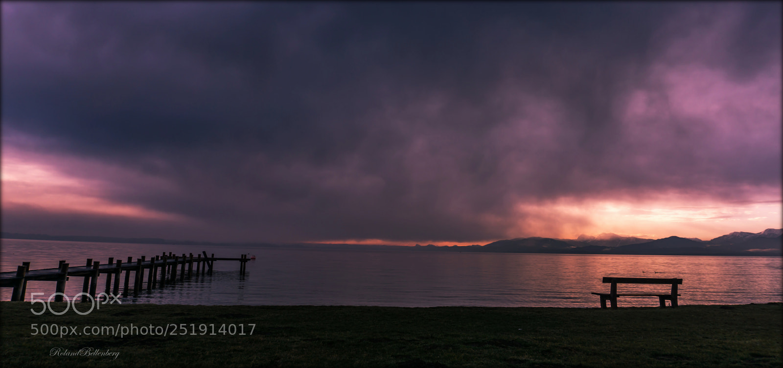Sony a6000 sample photo. Purple & pink photography