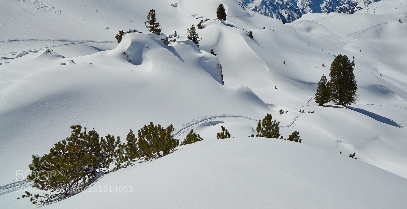 Nikon D800 sample photo. Austrian backcountry in april photography