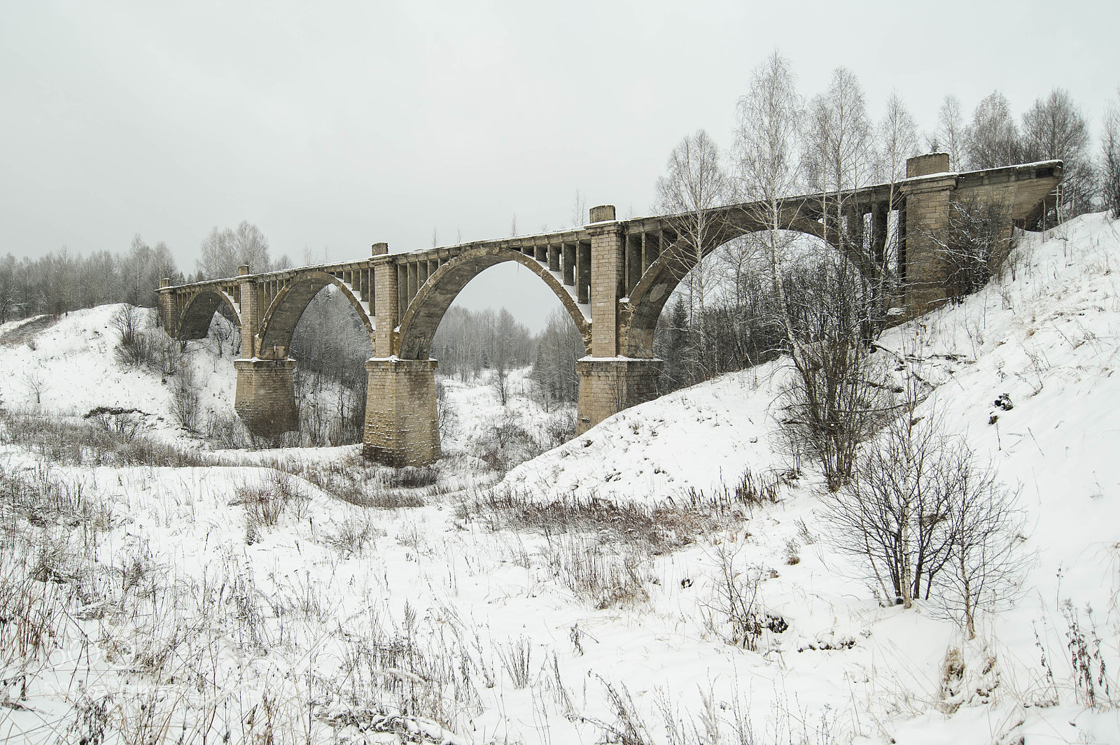 Nikon D700 sample photo. Бартымский виадук photography