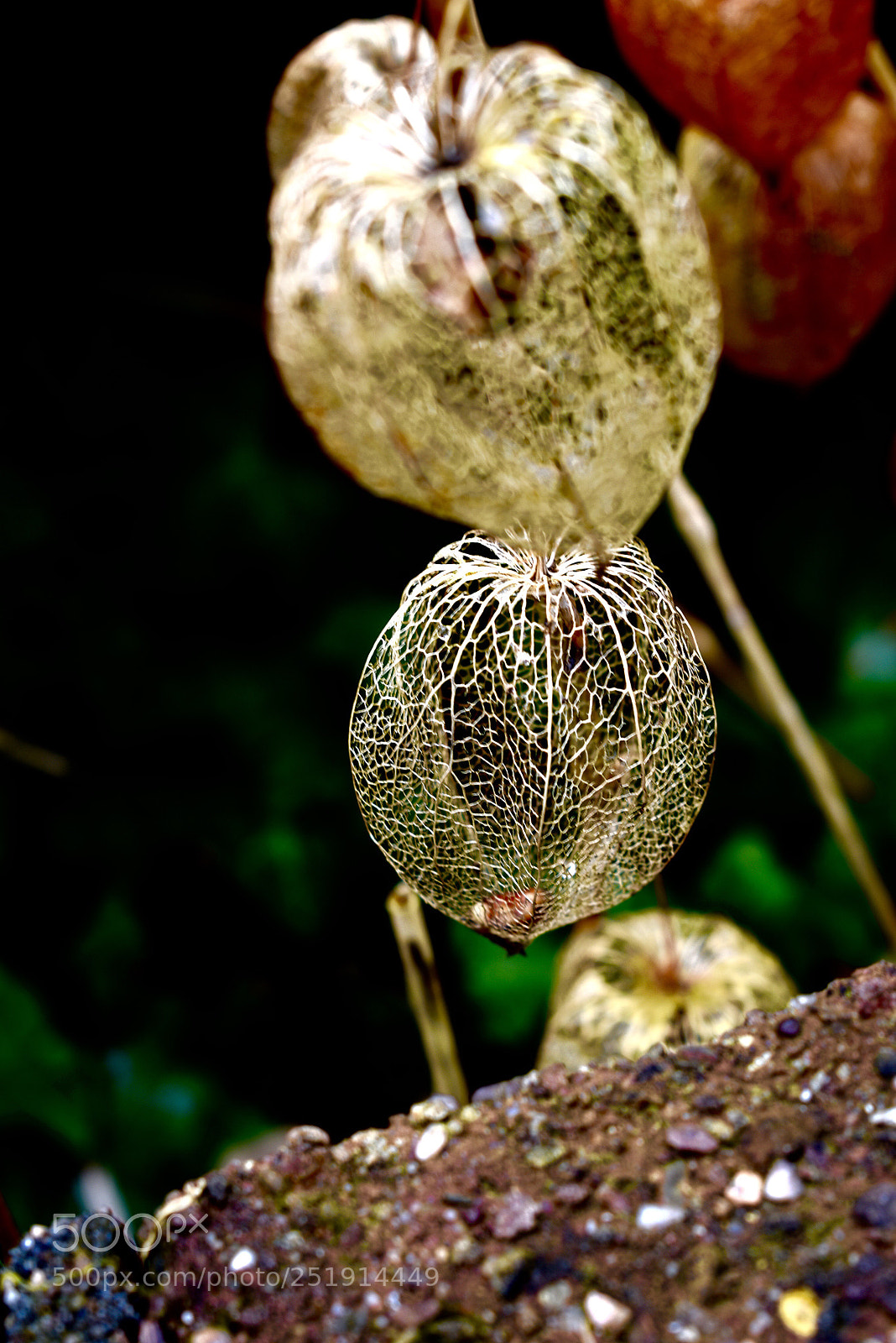 Nikon D3400 sample photo. Untitled photography