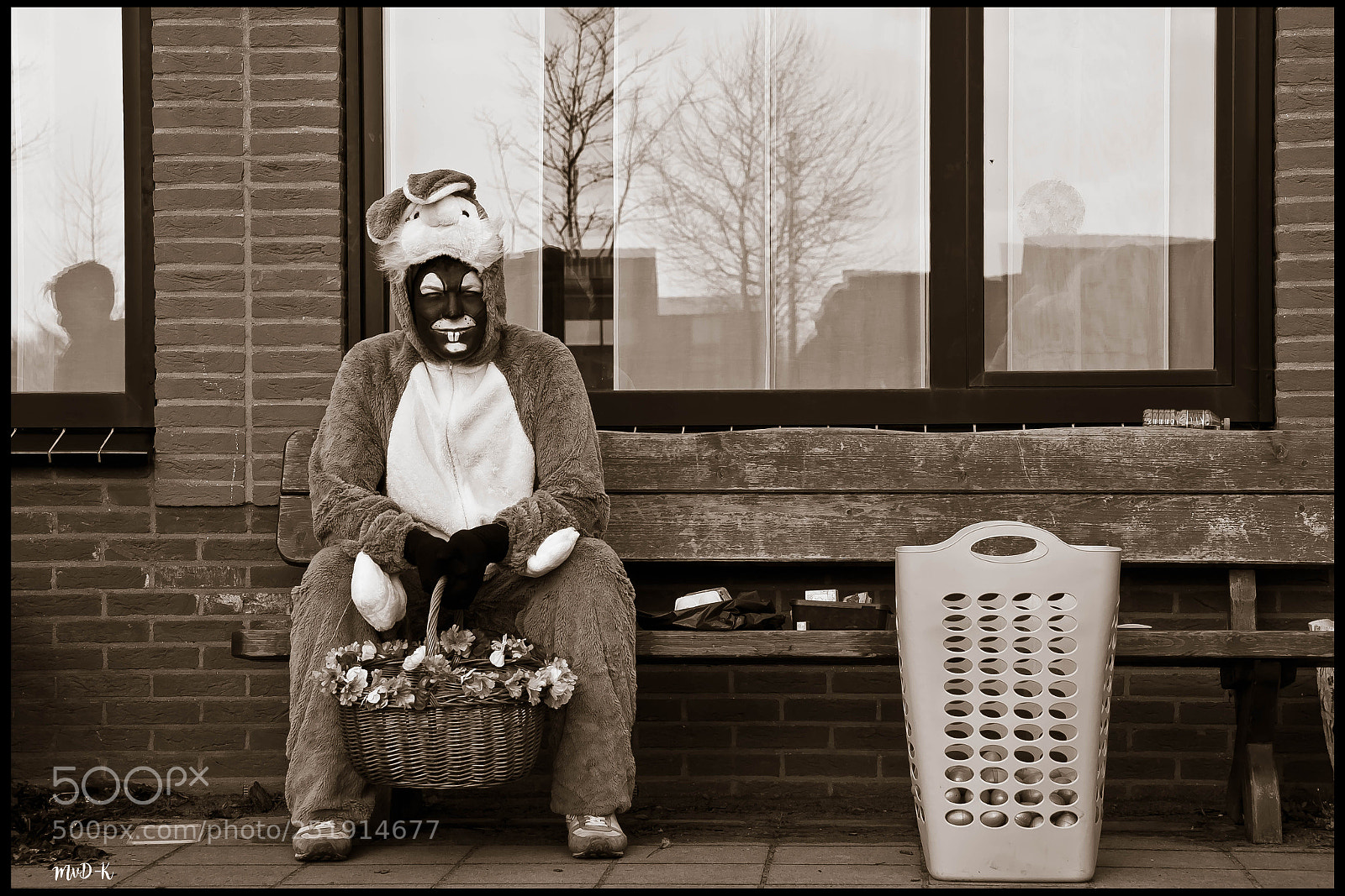 Canon EOS 600D (Rebel EOS T3i / EOS Kiss X5) sample photo. Give the easterbunny a photography