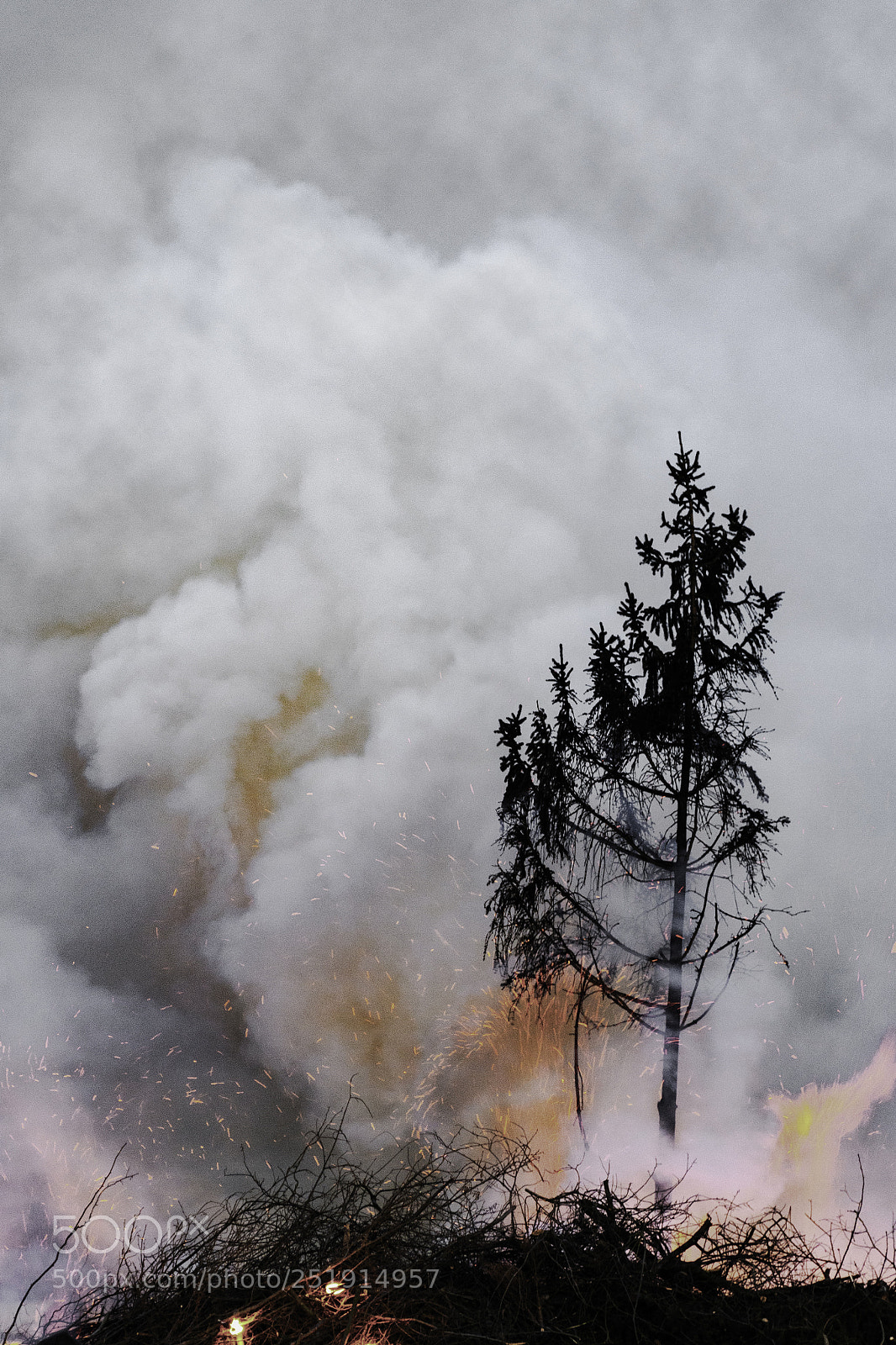 Nikon D7500 sample photo. Osterfeuer photography