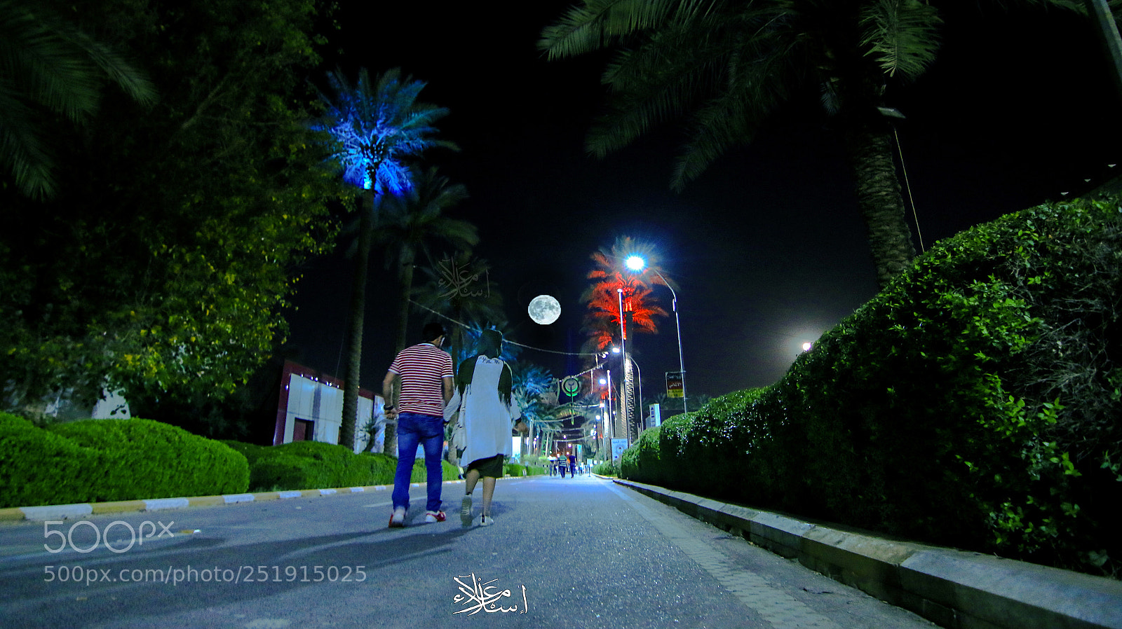 Canon EOS 70D sample photo. Untitled photography