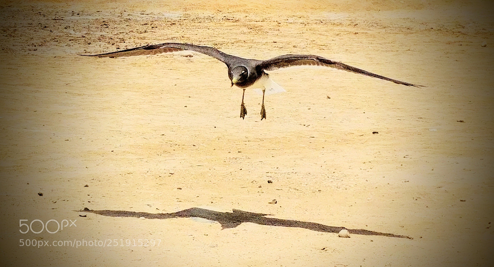 LG G6 sample photo. Untitled photography