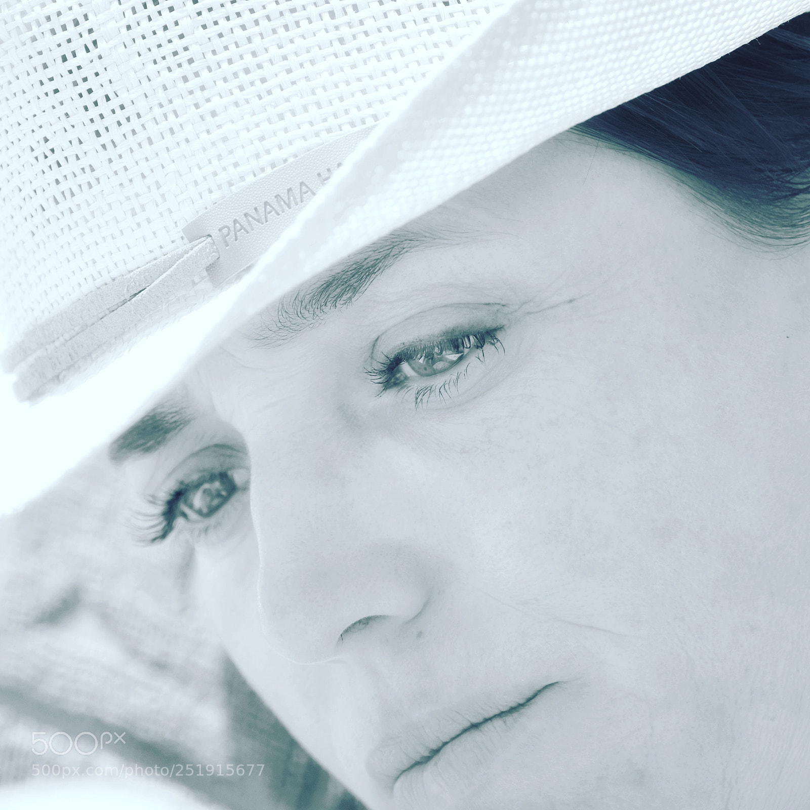 Nikon D500 sample photo. My partner in crime photography