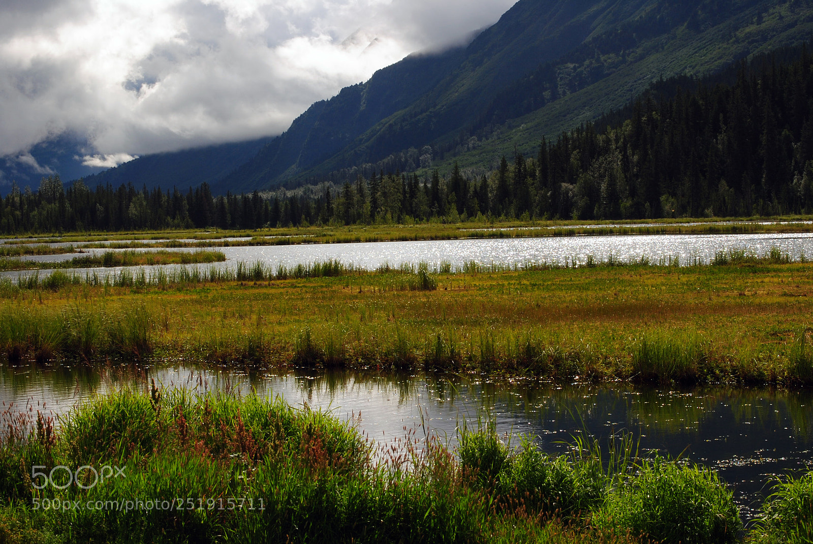 Nikon D3000 sample photo. Cook meadow photography