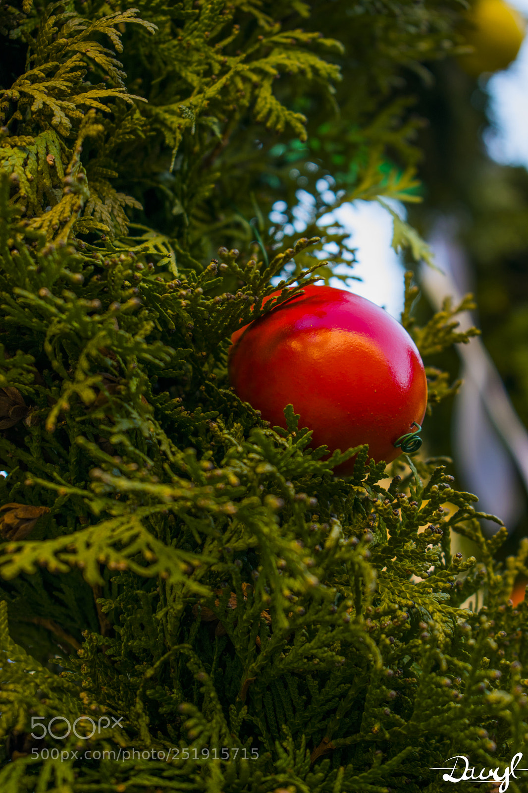 Nikon D3300 sample photo. Easter egg photography