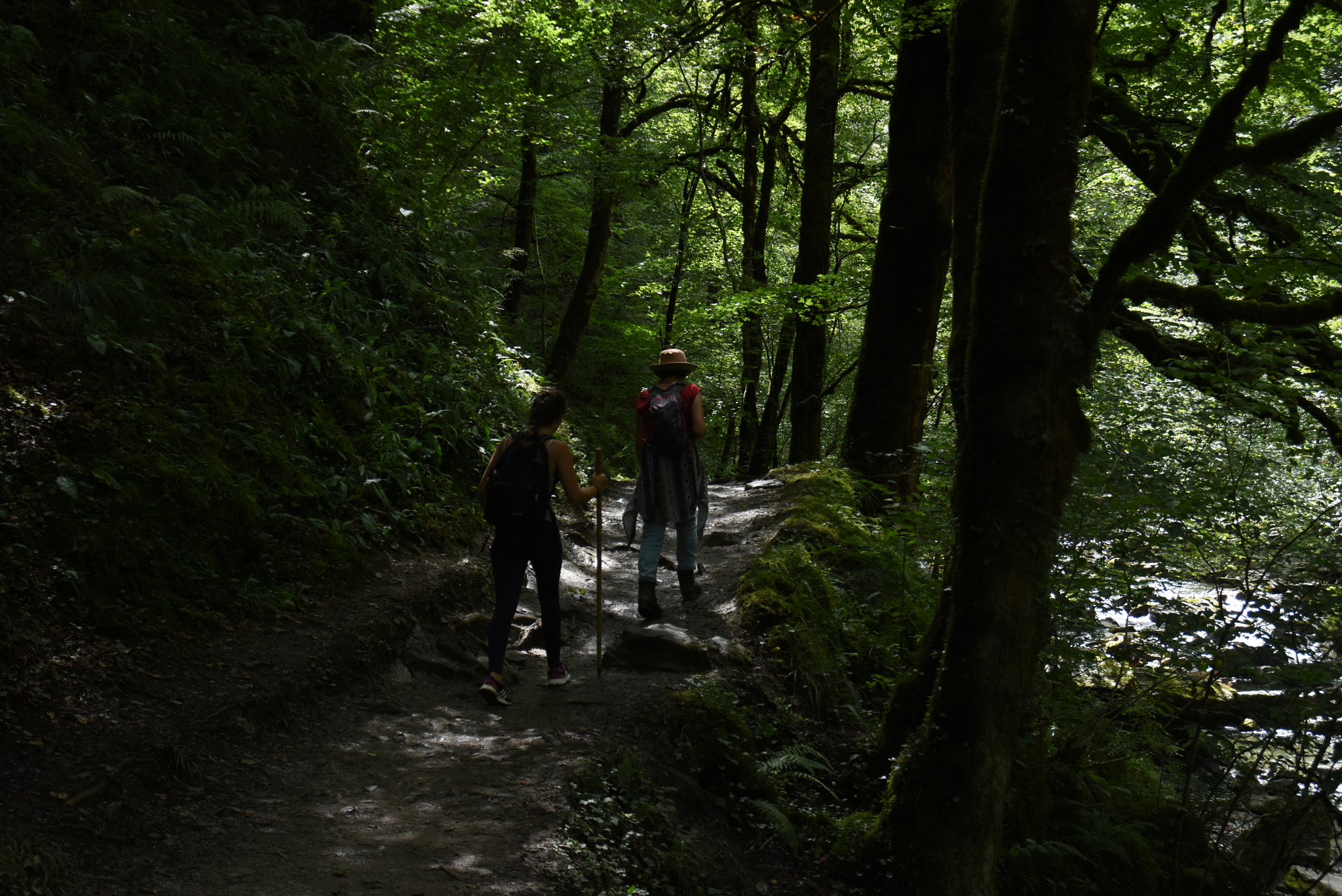 Nikon D7200 sample photo. Passerelle d'holtzarte photography