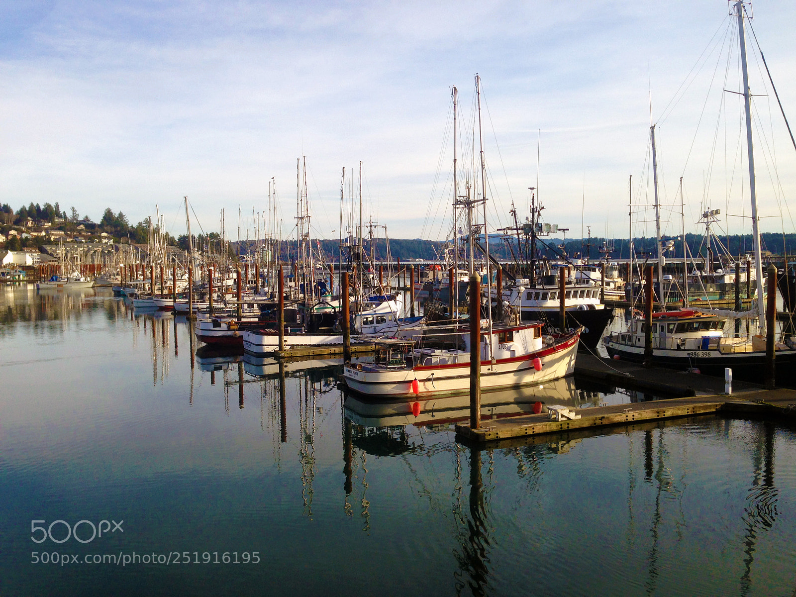 Apple iPhone 5 sample photo. Newportdocks photography