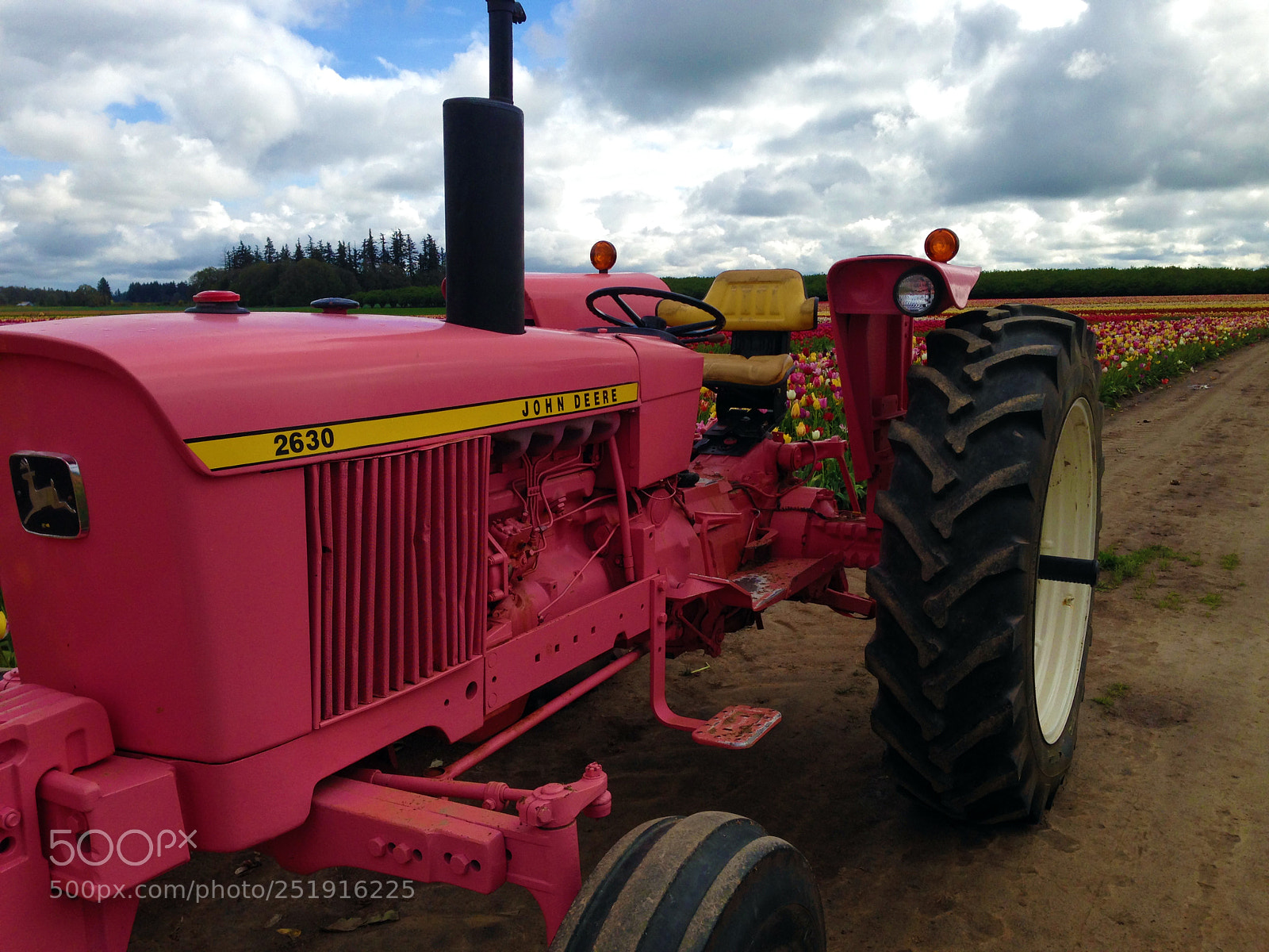 Apple iPhone 5 sample photo. Pinktractor photography