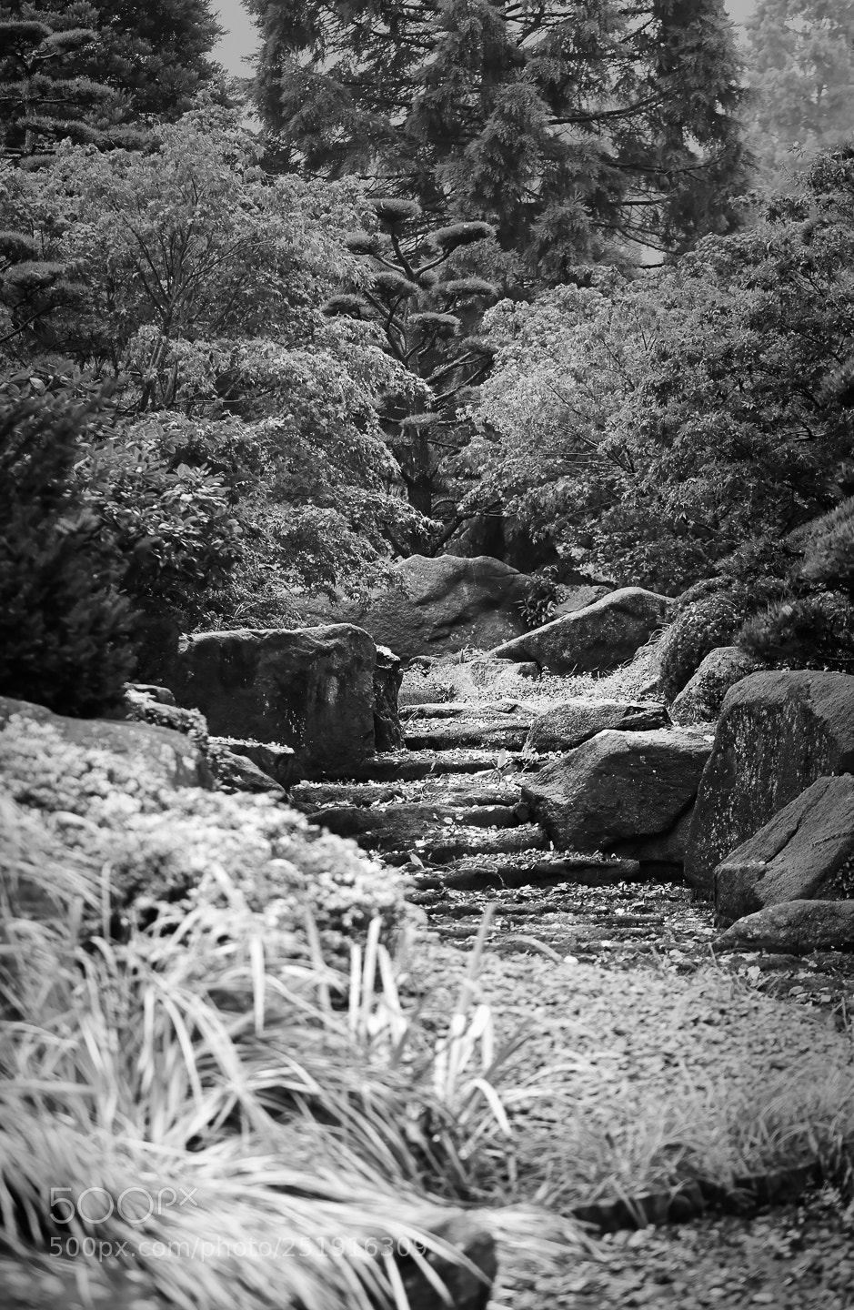 Sony SLT-A99V sample photo. A way photography