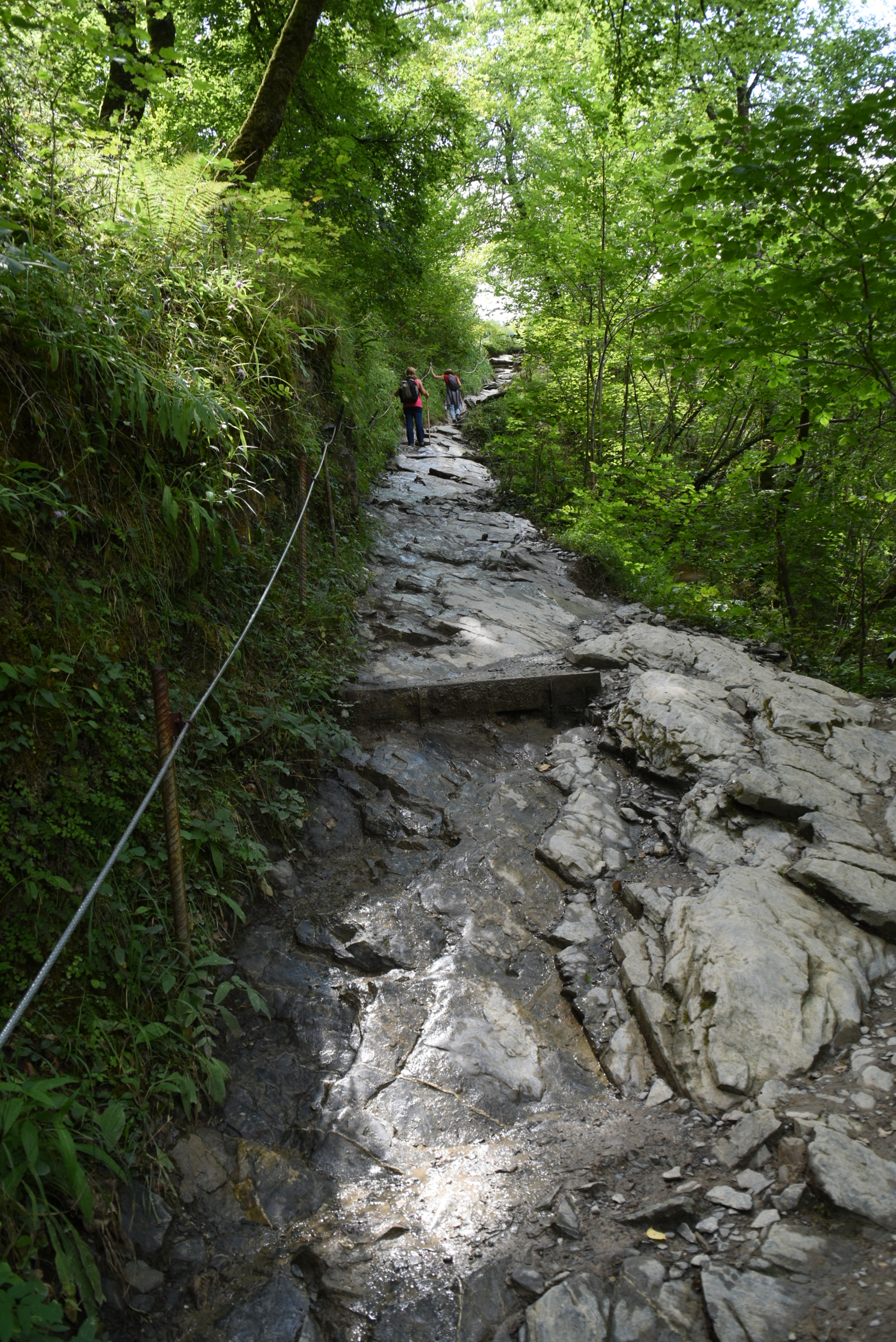 Nikon D7200 sample photo. Passerelle d'holtzarte photography