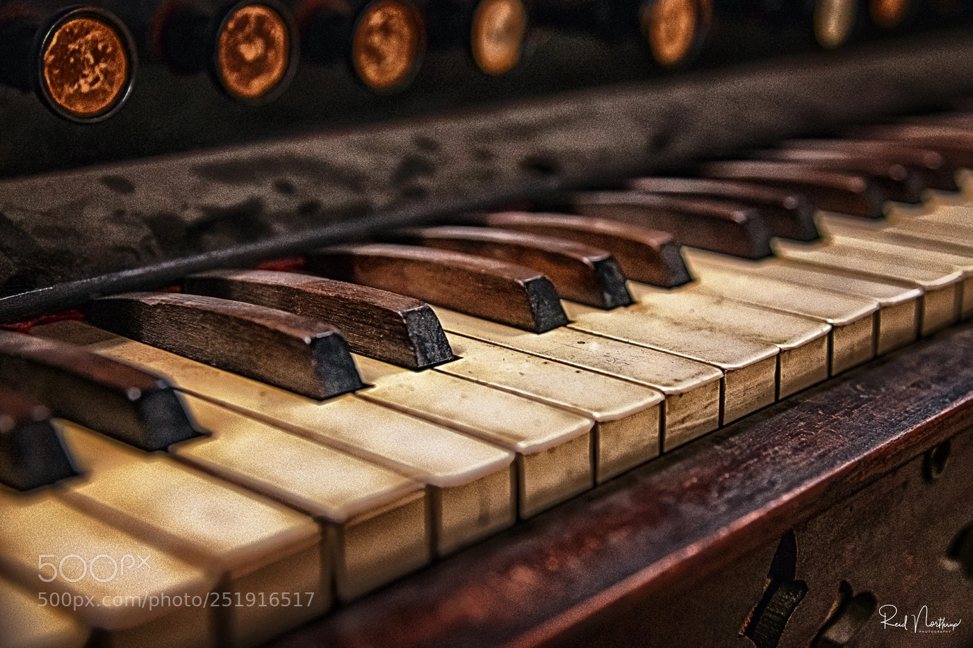 Nikon D850 sample photo. Out of tune photography