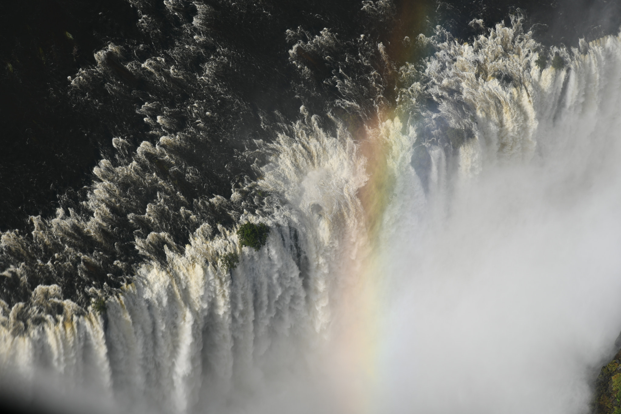 Nikon D500 sample photo. Always a rainbow photography