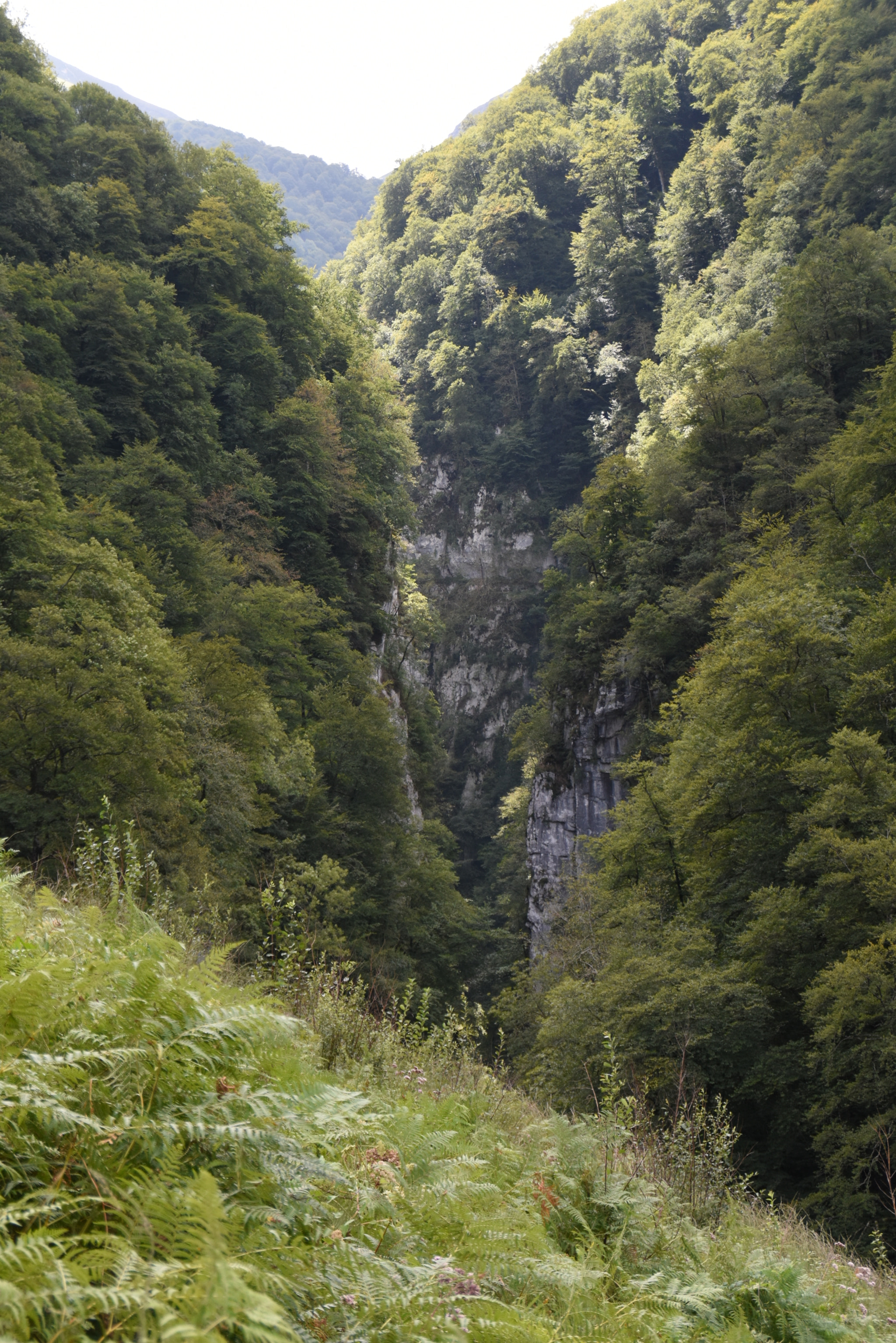 Nikon D7200 sample photo. Passerelle d'holtzarte photography