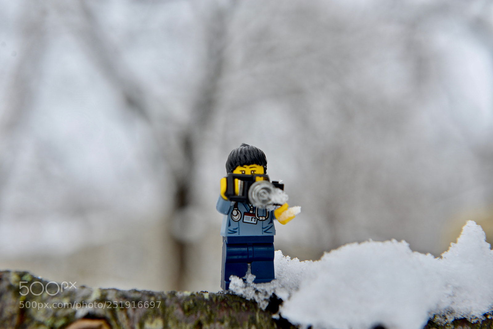 Nikon D610 sample photo. [snow]bird watching photography