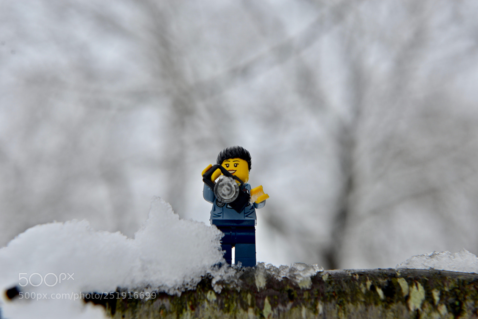 Nikon D610 sample photo. Winter shots photography