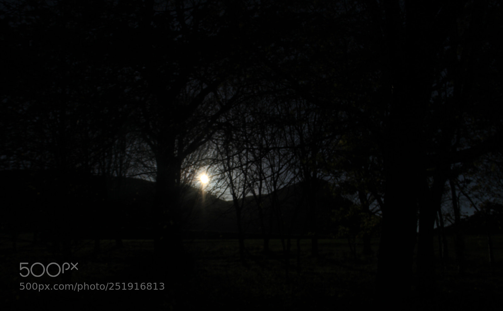Canon EOS 7D sample photo. Night  photography