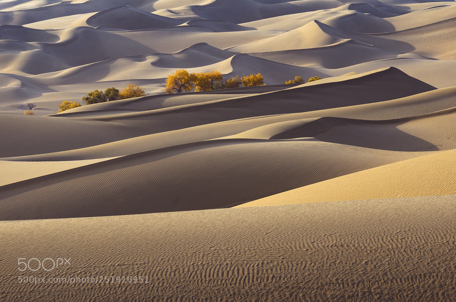 Nikon D7000 sample photo. Taklimakan desert photography