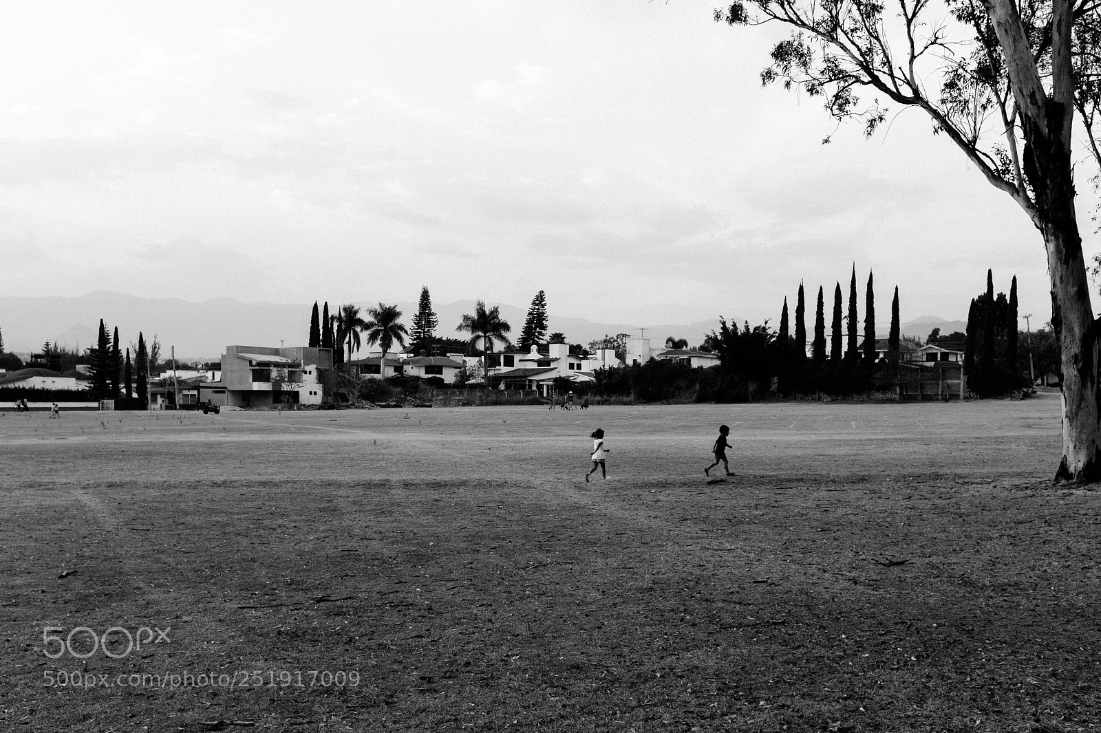Fujifilm X100F sample photo. Black and white fine photography