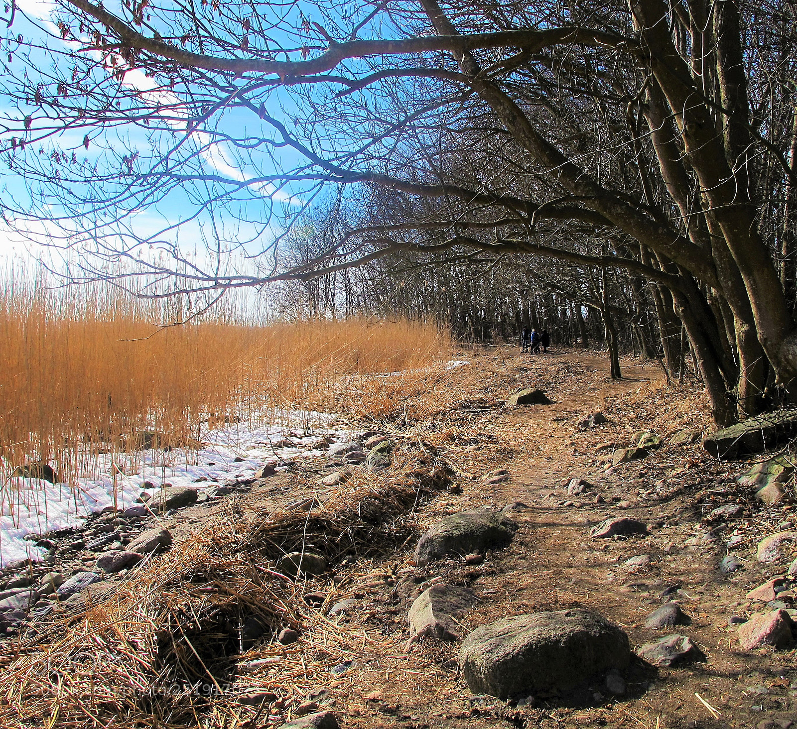 Canon PowerShot G12 sample photo. Still waiting for springtime photography