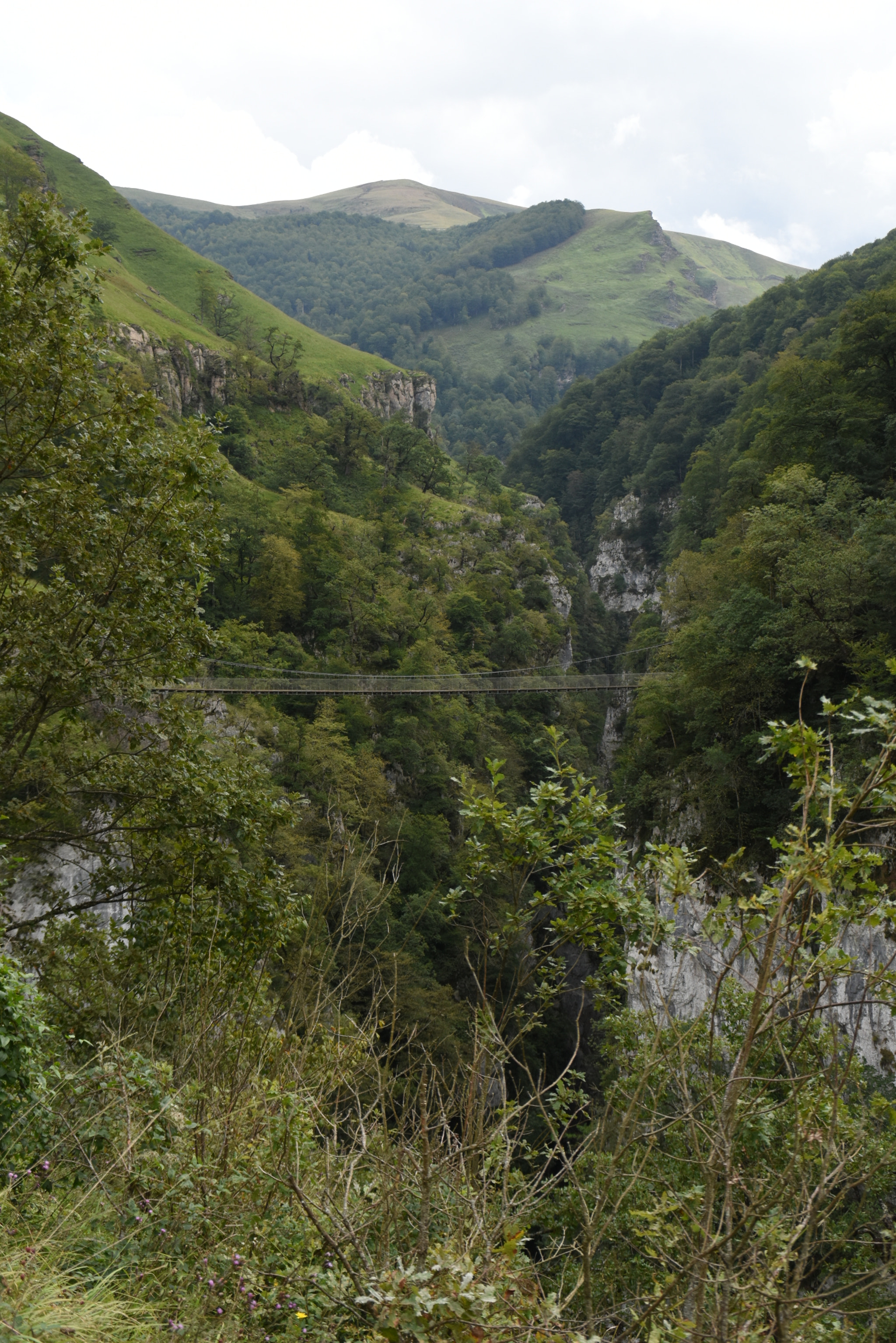 Nikon D7200 sample photo. Passerelle d'holtzarte photography