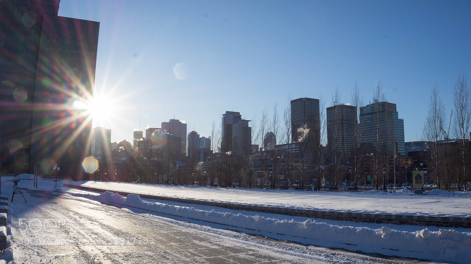 Sony Alpha a3500 sample photo. Winter in montreal photography