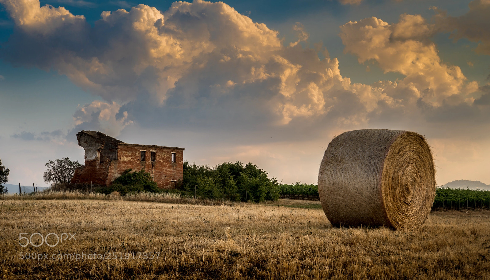 Sony a6300 sample photo. Field in montepulciano photography