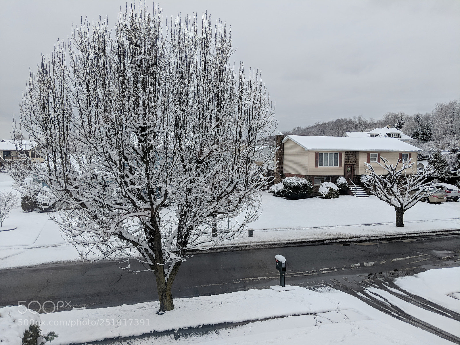 Google Pixel 2 sample photo. April fool's snowfall photography