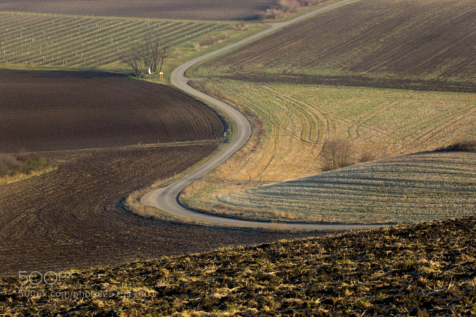 Canon EOS 5D Mark IV sample photo. Moravian tuscany photography