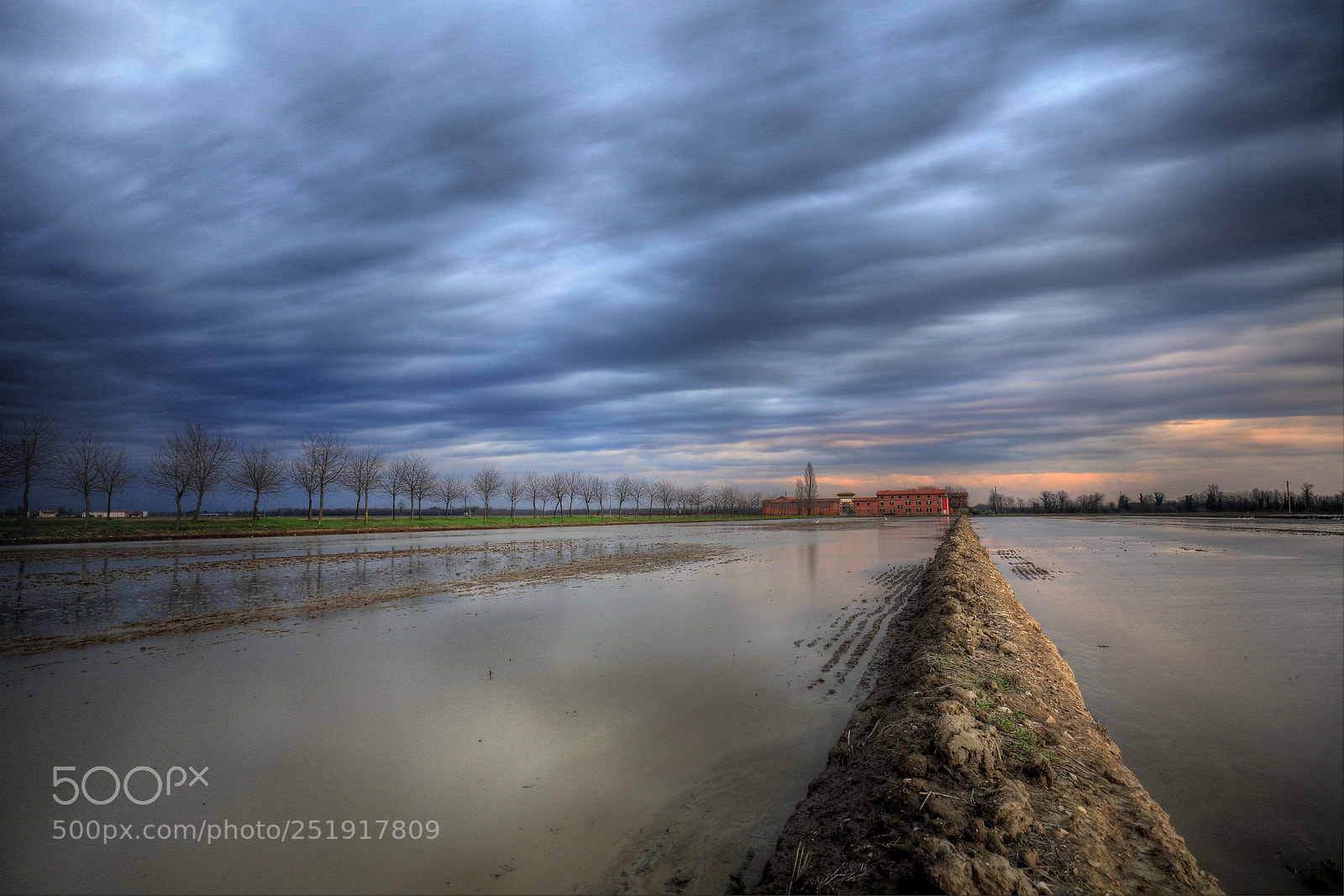 Canon EOS 5DS R sample photo. Ricefields and the red photography