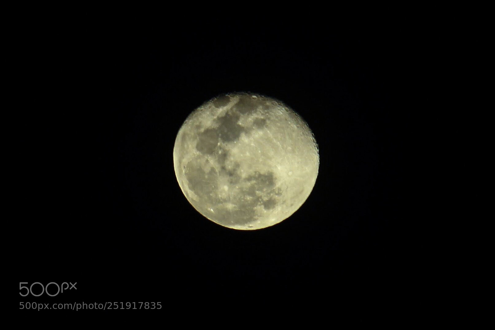 Canon EOS 700D (EOS Rebel T5i / EOS Kiss X7i) sample photo. The blue moon photography