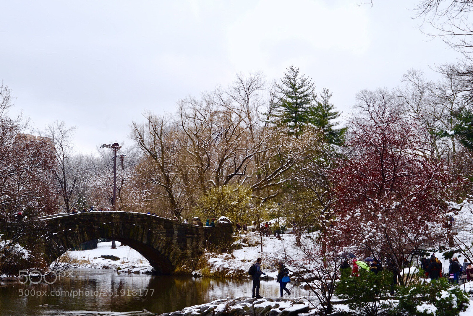 Sony a7 II sample photo. Snowy central park  photography