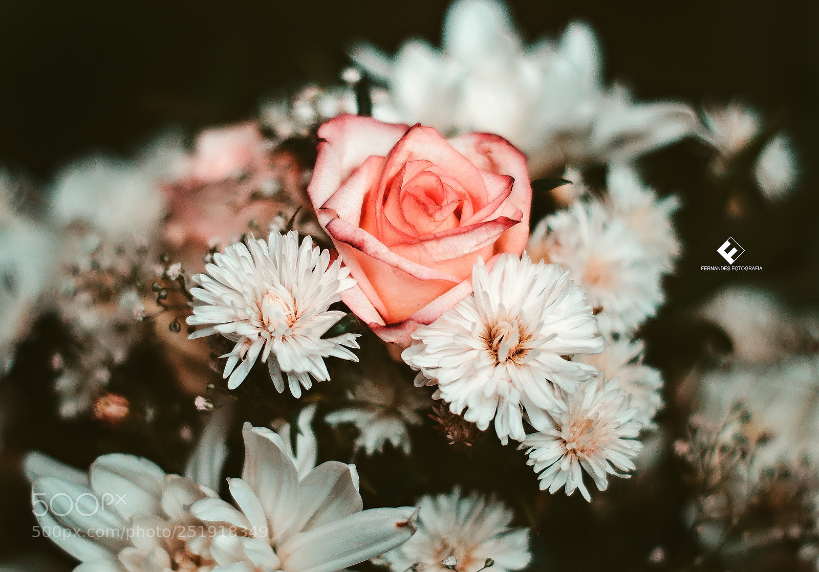 Nikon D5000 sample photo. Nature art photography
