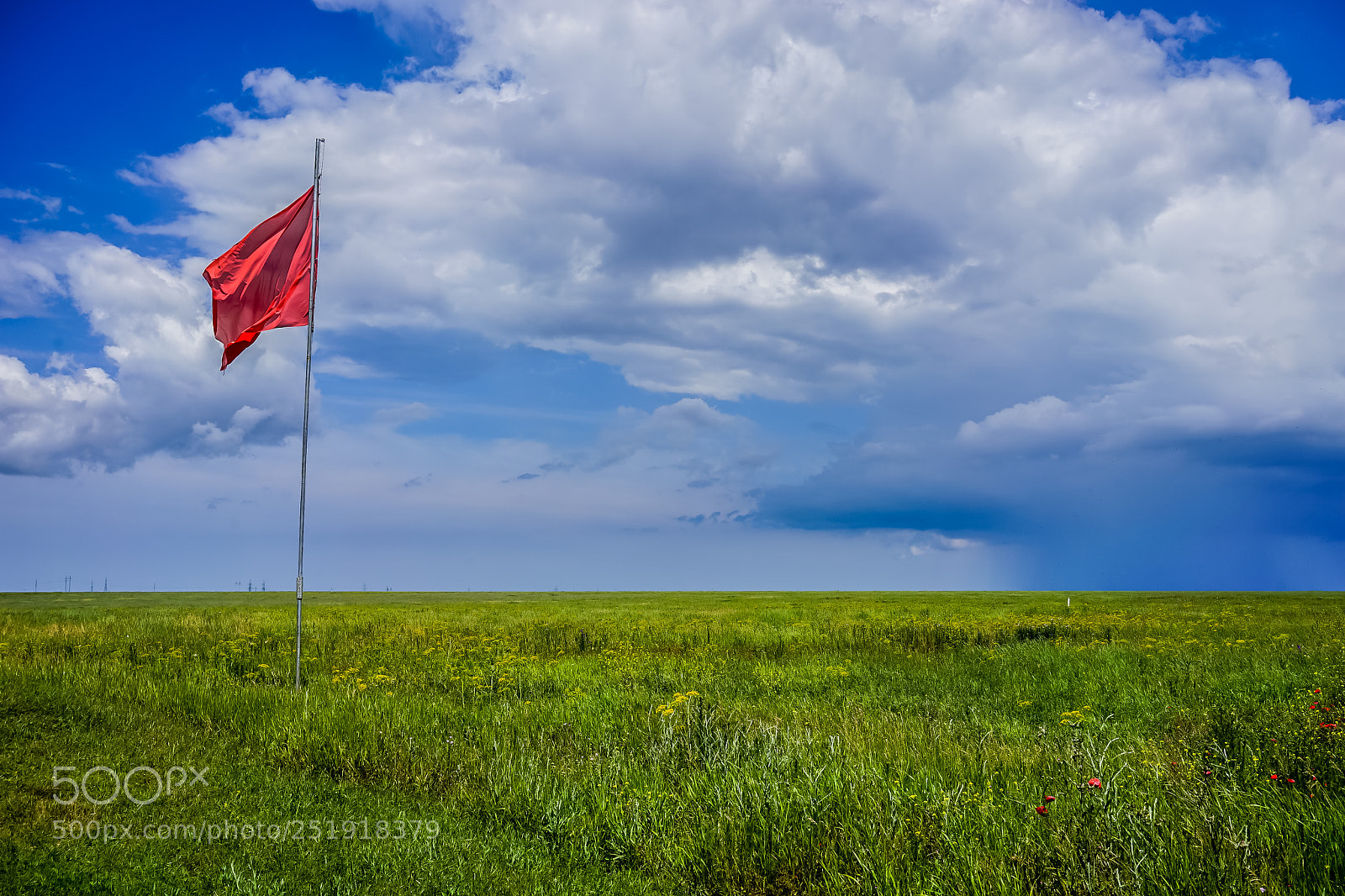 Sony a7 sample photo. Waving the scarlet flag photography